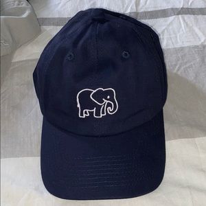 Elephant Seregentee Hat